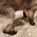 명지 수동물병원 이미지