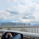 진타워 | 서울 호캉스 추천 / 노보텔 앰배서더 용산 슈페리어 더블룸 남산타워뷰 숙박후기