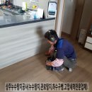 당교로 이미지