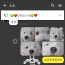 소미갈비찜 이미지