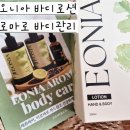 삼앤코