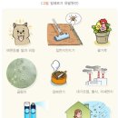 다온튼튼의원 이미지