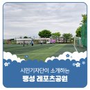 팽성레포츠공원 농구장
