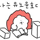 히카리광 네이버블로그