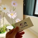 젤리빈스튜디오 이미지