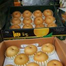 배동문농장 이미지