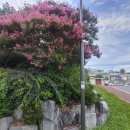 광무농장 이미지