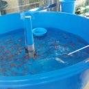 섬진강어류생태관 이미지