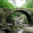 선암사