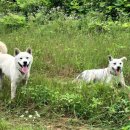 덕현목장 이미지