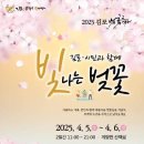 꼬꼬퀸즈 | 2025년 김포 벚꽃 축제 안내