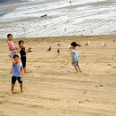 갯벌이야기 이미지