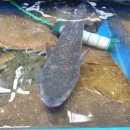 재성목장 이미지