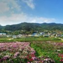 가천다랭이마을 이미지