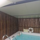 스테이 신사리 이미지