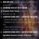 버틀러교육 - 동작구 상도로39길 37 | 헬스 PT 린바디핏 - 허리통증, 구조를 넘어 뇌와 시스템을 이해하다 : Back pain Mastery 교육 수강 후기