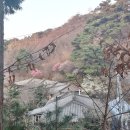 다담 단상 이미지