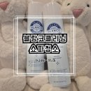 블랑코 | 블랑코클리닝 패브릭 소파 청소 후기