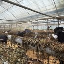 해경농장 이미지