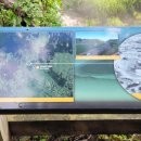 플렌티숲 이미지