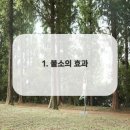 바른이치치과의원 이미지