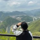 제육고집 이미지