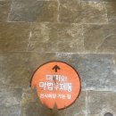 동화운수 차고지 앞 | 🐰키덜트 확정‼️ 토끼띠의 &lt;미피와 마법 우체통&gt; 전시 후기