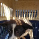 추팔산단로 이미지