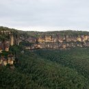 블루마운틴 이미지