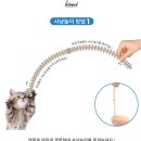 [고양이간식] 닥터패트라 캣즐｜고양이 양치는 힘들다.. 집사야 양치를 부탁해