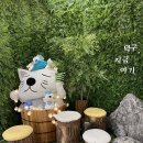 [경북 울진군] 덕구온천 요금표 / 가마로강정 / 덕구상회