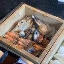 길세이로무시 대연점 이미지