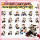 세상은 크리에이티브 | 갤럭시 크리에이티브 스튜디오 사용법 One UI 8.5 신기능 카톡 AI 나만의 스티커 1분 만드는법