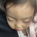 (주)세명랜드 | 3세 아이와 호텔 이스트 21 도쿄 더블 룸 2박 숙박 후기(디즈니 무료 셔틀, 조식, 스카이트리뷰, 침대...