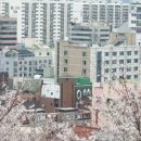 루만스테이 이미지