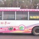 버스정류소_제주버스터미널 이미지