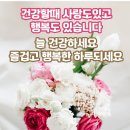 101세 현역의사의 &#39;건강 핵심비법 45가지&#39; 이미지