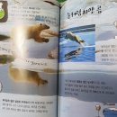 청림당 이미지