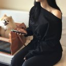 (주)브레이드 | 10월 가을 데일리룩｜직장인 출근룩부터 핀터레스트 감성 레더자켓 코디까지