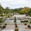 미동산수목원 티스토리