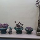 오정구청 이미지