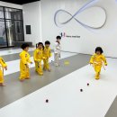 뿌리깊은나무태권도장 이미지