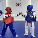 천하무적태권도장 이미지