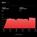 제1회 광주대학교 수직마라톤 참가 후기