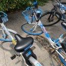 [남경(南京) 생활] 알리페이 공유자전거 ‘HELLO BIKE 헬로바이크’ 첫 이용기 (+이용팁 및 사용 종료...