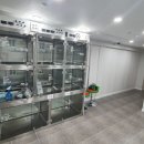 아리스타동물의료센터 이미지