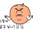 금부농원 이미지