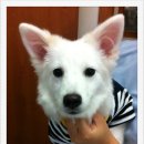 애경동물병원 이미지