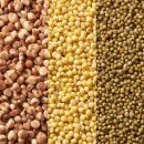 [북부] 건강밥상차리기(2025) | 소음인 수체질 등 체질별 맞춤형 밥 짓기 레시피 및 꿀팁