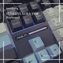 아우라 독거미 키보드 F108 세이야축 후기, 독거미 키보드 풀배열 후기, 펀키스 독거미 키보드 구매 후기